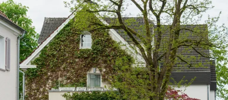 Gepflegtes Wohnhaus mit begrüntem Vorgarten